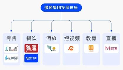 6億美元融資就位 看微盟如何&ldquo;深挖坑、廣積糧、高筑墻&rdquo;